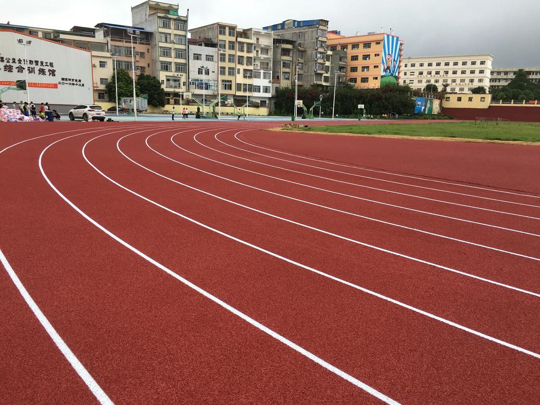 珠海市硅PU塑胶跑道材料 - 厂家